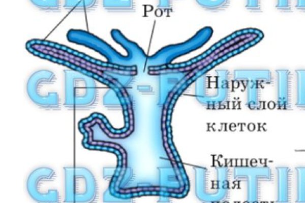 Свежие ссылки кракен