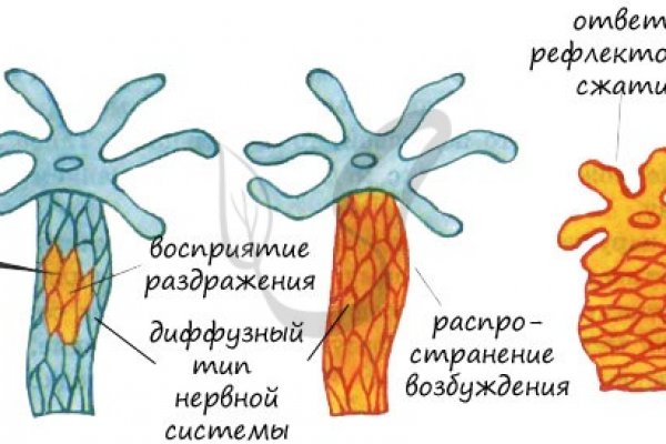 Кракен настоящий сайт